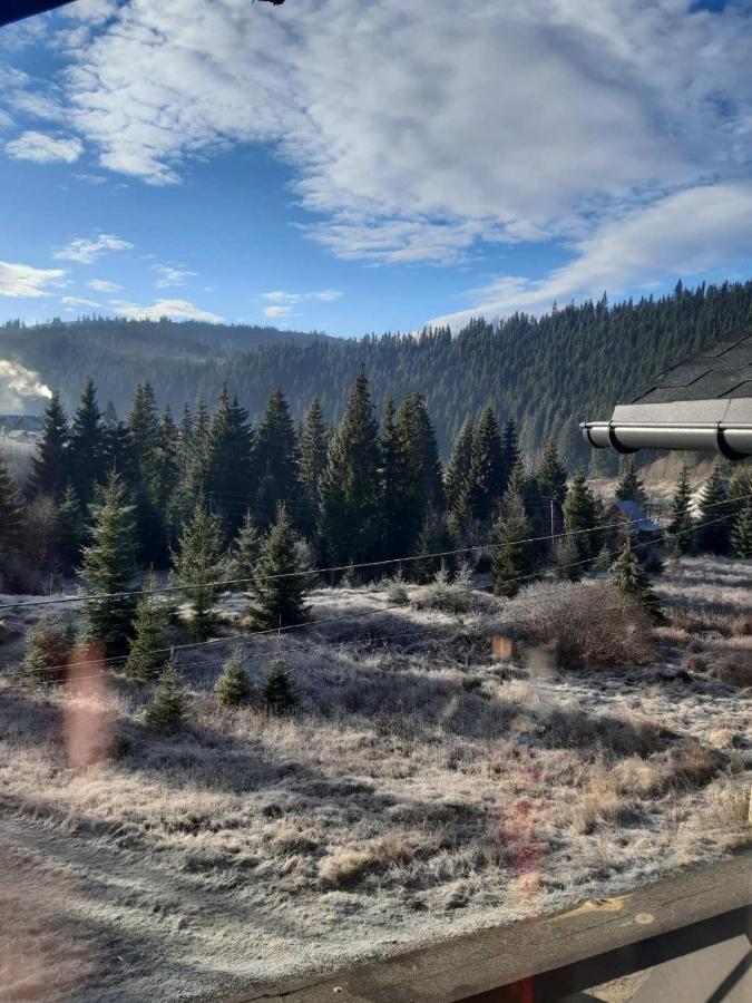 Black Chalet Буковель Экстерьер фото